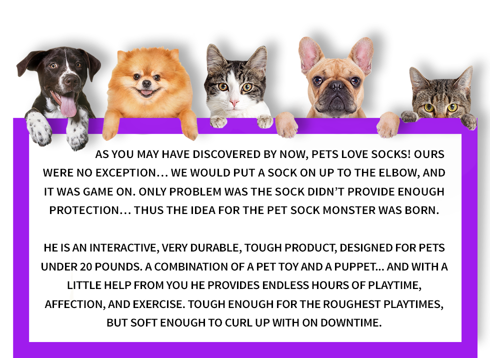 Pet Sock Monster | About